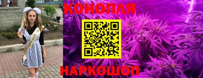 ГАЛЛЮЦИНОГЕННЫЕ ГРИБЫ Канаш