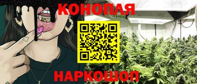 ГАЛЛЮЦИНОГЕННЫЕ ГРИБЫ Канаш