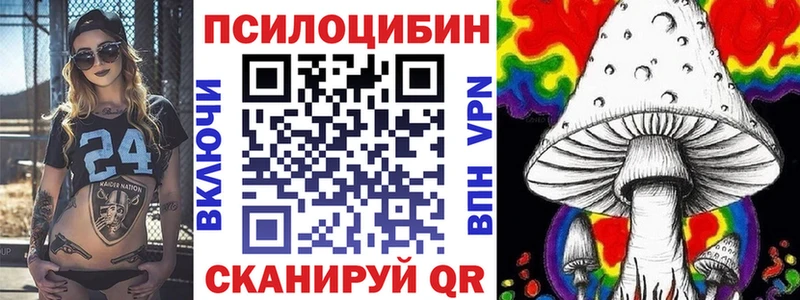 Псилоцибиновые грибы мухоморы  KRAKEN сайт  Людиново  наркошоп 