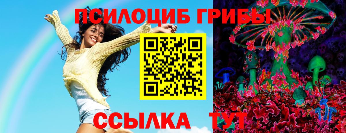 Галлюциногенные грибы Magic Shrooms  Вход с VPN  купить наркоту  Людиново  Галлюциногенные грибы GOLDEN TEACHER 