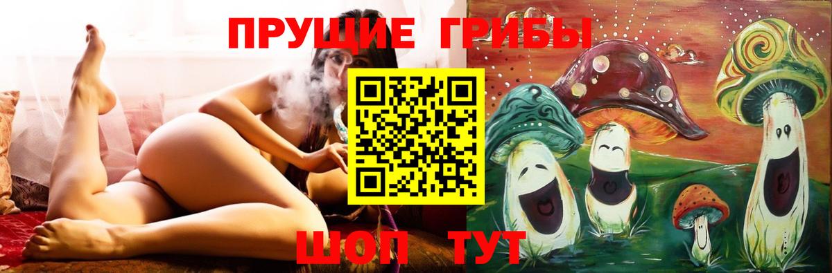 Псилоцибиновые грибы Psilocybine cubensis  Людиново  Псилоцибиновые грибы Psilocybine cubensis 